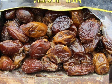 إتلاف طن ونصف من التمور غير الصالحة للاستهلاك في طوباس