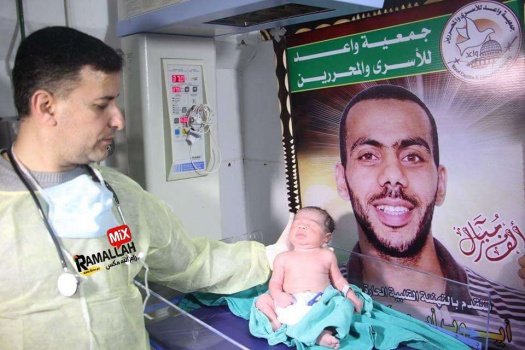 فيديو:أسير فلسطيني يُرزق بمولود عبر النطف المهربة
