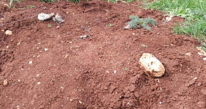 بحثاً عن الأثار..مجهولون ينبشون قرية قرقش الأثرية غرب سلفيت