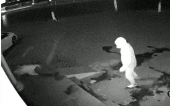 انتهت في دقائق .. فيديو: أغبى عملية سرقة