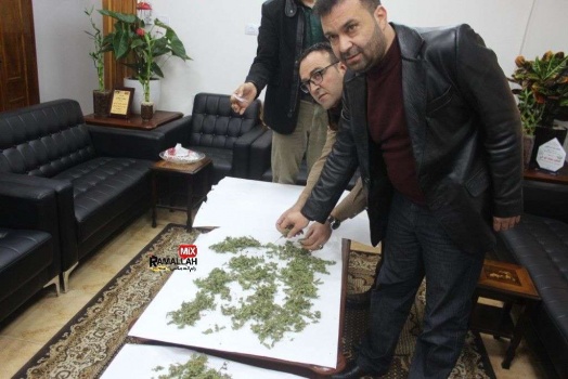 صور وفيديو..وقائي جنين يضبط كمية من المخدرات بألاف الشواقل