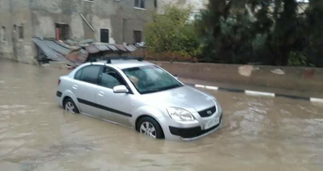 "زراعة سلفيت": معدل الأمطار يبشر بموسم وفير