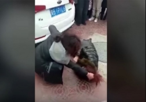 فيديو| ماذا فعلت زوجة بعشيقة زوجها في الشارع وأمام المارّة!؟