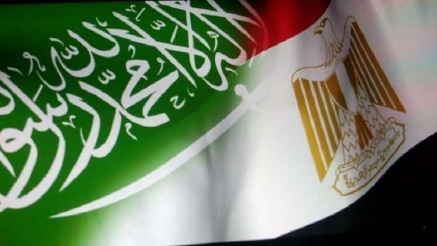 مصر والسعودية تؤكدان دعمهما الكامل لكافة حقوق الشعب الفلسطيني المشروعة