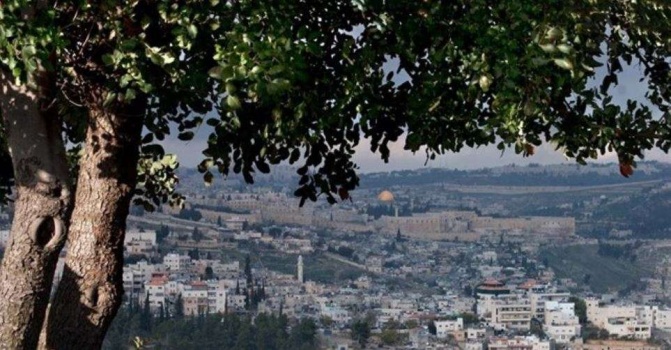 المفتي العام يدعو لصلاة الجمعة في الأقصى