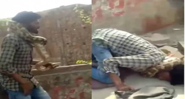 بالفيديو... ثعبان ضخم يخنق مدربه أمام الجمهور