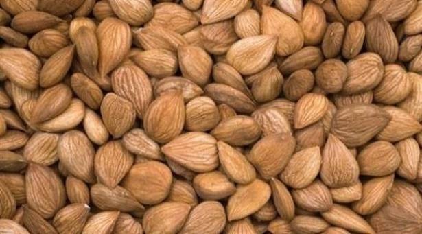 للمرأة.. هذا ما تفعله المكسرات بصحتك