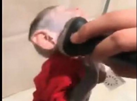 فيديو طريف.. حلاقة لحية قرد صغير!