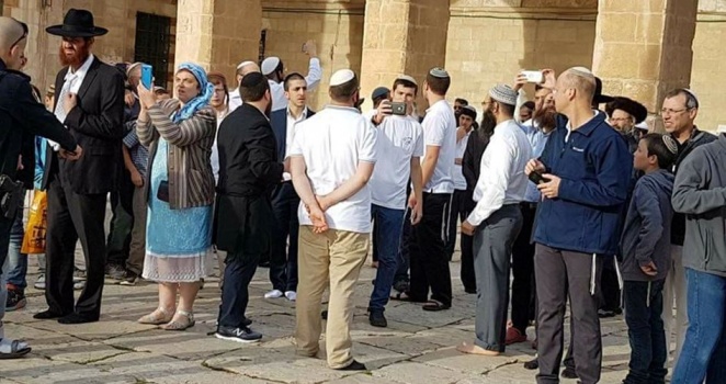مستوطنون ينفذون أكبر حملة اقتحام للأقصى هذا الأسبوع