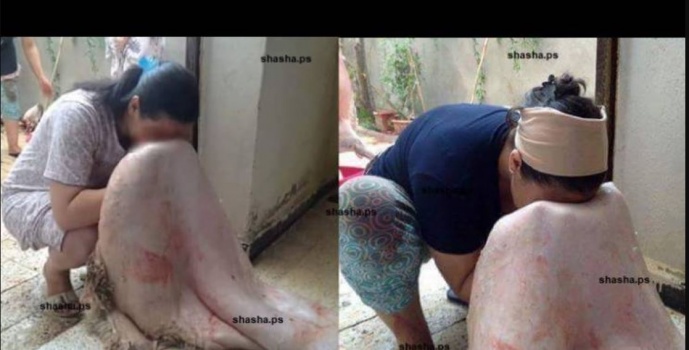 لهذا السبب تمسح الفتيات وجوههن بجلود الأضحية
