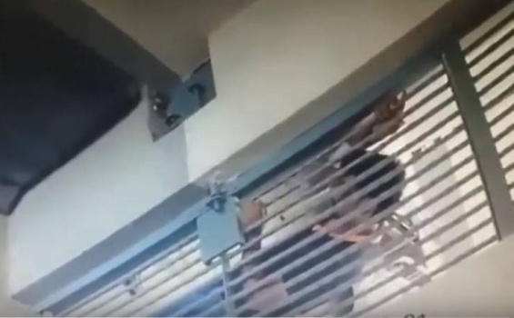 فيديو| سجينان يهربان من حبسهما بطريقة سينمائية