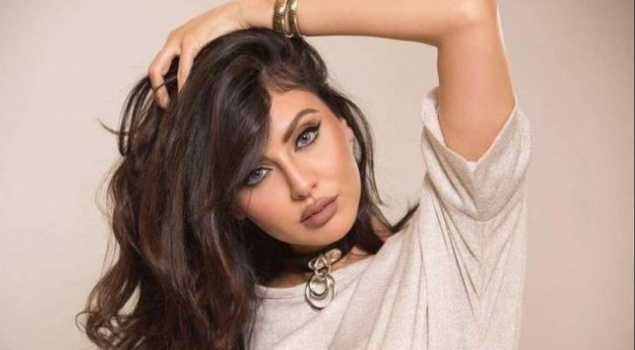 فيديو.. الحكم بالسجن 6 أشهر على مريم حسين