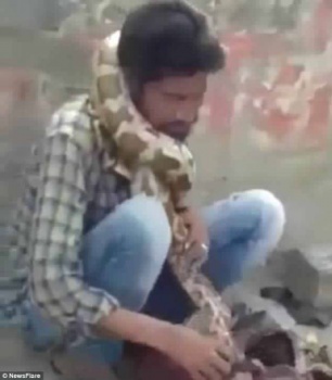 فيديو.. ثعبان ضخم يخنق مدربه أثناء العرض