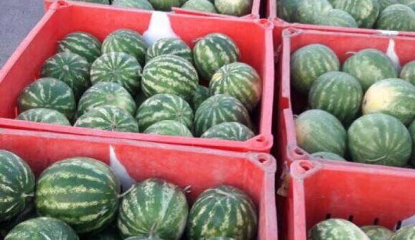 وزارة الزراعة تعلن منع استيراد البطيخ من اسرائيل