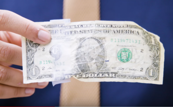 فيديو| هل تعلمون كيف يتم التخلص من الدولارات التالفة؟