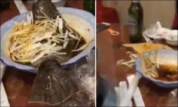 فيديو.. سمكة تقفز من الطبق بعد طهيها!