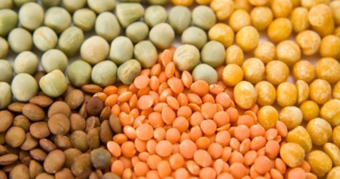 خفّض ضغط دمك خلال أسبوعين بلا أدوية