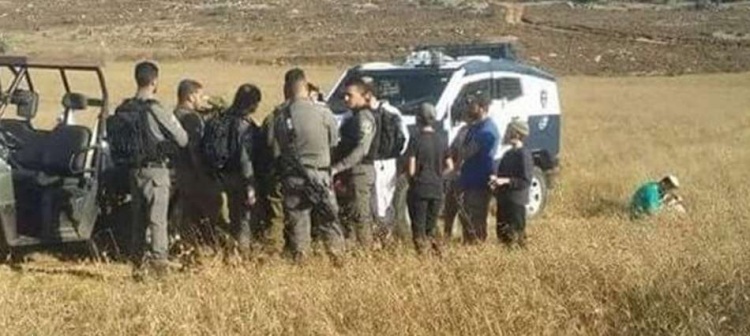حتى بهجة الحصاد تسرقها "إسرائيل" من مزارعي جالود