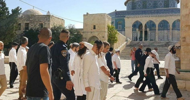 140 إسرائيليا يقتحمون المسجد الأقصى