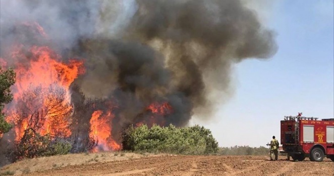 موقع عبري: جيش الاحتلال لا يجد حلًّا للبالونات الحارقة