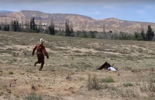 صور: لقطات صادمة لنسر يشن هجوما على فتاة صغيرة