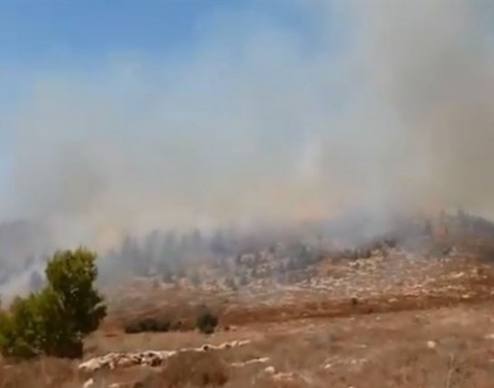 فيديو- إخلاء بيوت للمستوطنين بسبب النيران