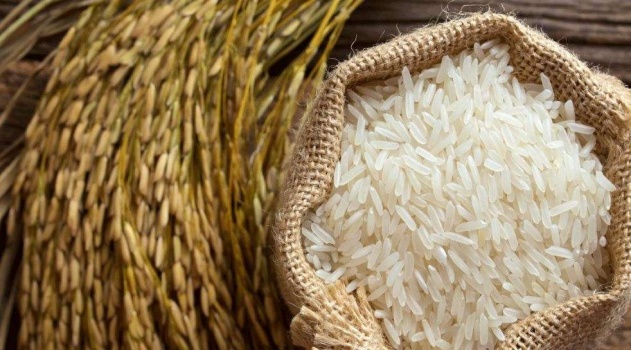 خبراء يحذرون من أخطاء خطيرة في طهي الأرز وحفظه
