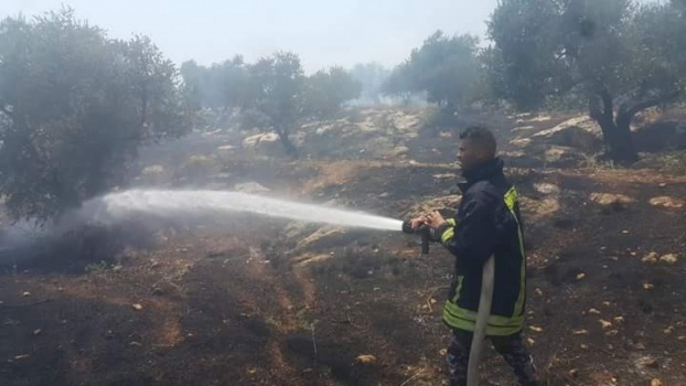 إخماد حريق طال 100 شجرة زيتون معمرة في بلدة كفردان