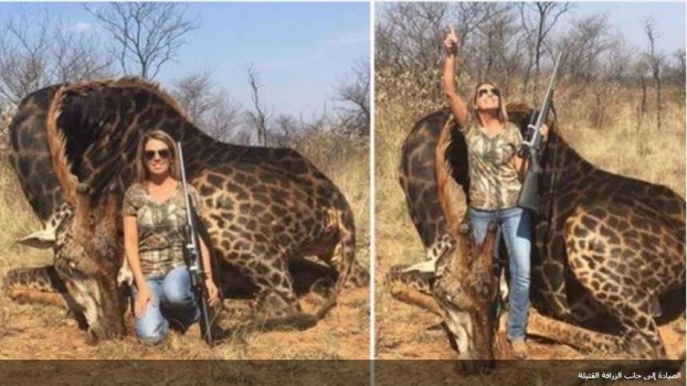 لعنة زرافة قتيلة تطارد أميركية على صفحات التواصل!