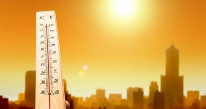 دراسة: الحرارة المرتفعة تؤثر على وظائف المخ