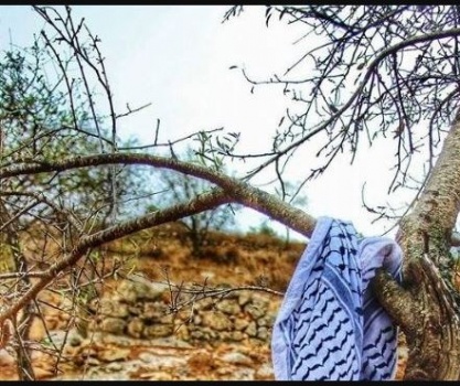 اهالي بديا ينتزعون قرارا باستعادة 226 دونما