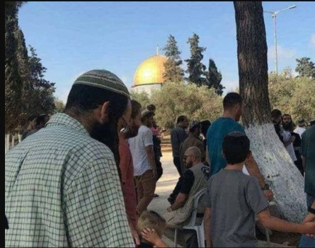 حماس والجهاد تحذران