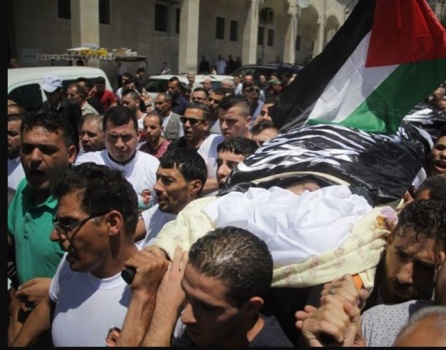 192 شهيدا منذ بداية العام