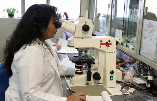 علماء يابانيون يستخدمون خلايا جذعية &laquo;مبرمجة&raquo; لمحاربة &laquo;الشلل الرعاش&raquo;