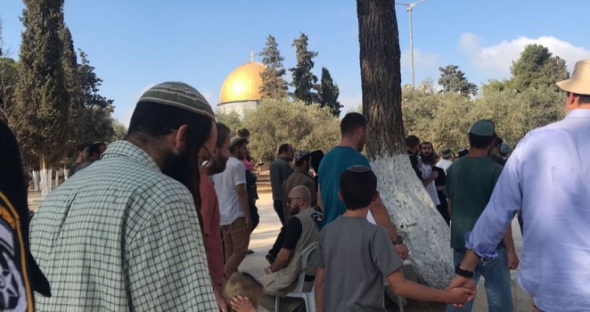 56 مستوطنًا يقتحمون المسجد الأقصى