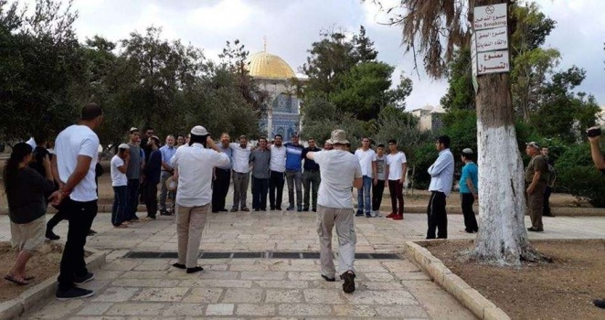 عشرات المستوطنين يقتحمون "الأقصى" في أول أيام "العُرش"