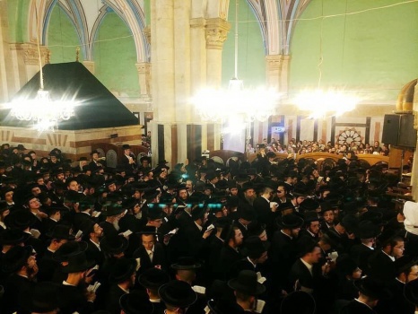 فيديو وصور.. ألاف المستوطنون يستبيحون المسجد الابراهيمي