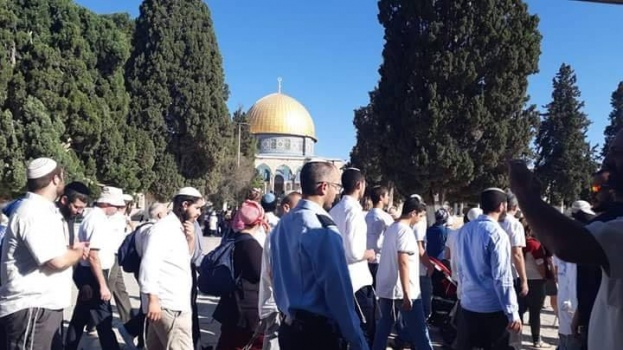 1000 مستوطن يقتحمون المسجد الأقصى