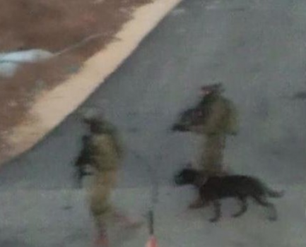 جيش الاحتلال: نحقق بظروف استشهاد الخطيب