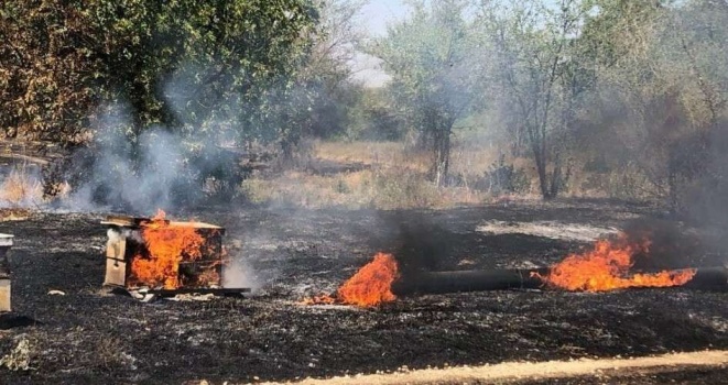 احتراق مزرعة في سبسطية بفعل الاحتلال
