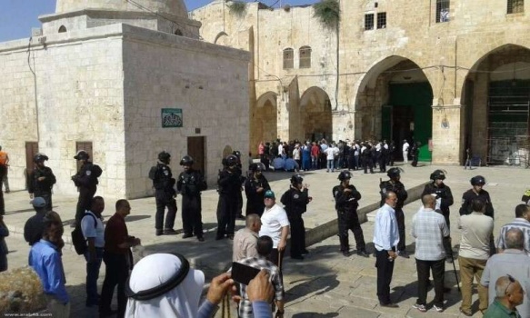 114 مستوطنًا يقتحمون المسجد الأقصى