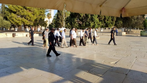 صور..59 مستوطنًا يقتحمون باحات الأقصى بحراسة مشددة
