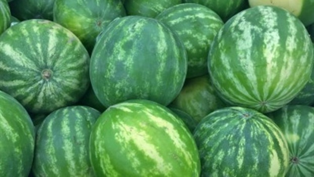 "البطيخ الكبير" يباع بمليوني دولار...