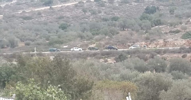 الاحتلال يعتدي على قاطفي الزيتون بعزون شرق قلقيلية