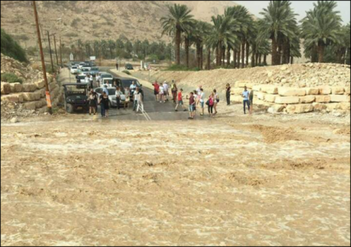 الرئيس والحكومة يعزيان بضحايا سيل الأردن