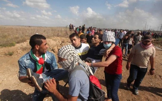 صور..115 إصابة برصاص الاحتلال وبالاختناق بالغاز شرق قطاع غزة