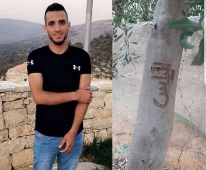 الشهيد إلياس رحل.. ولكن اسمه بقي محفورا على زيتونة الدار