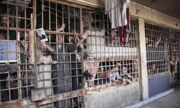 أكثر من 560 فلسطينيًا قُتِلوا في سجون سوريا