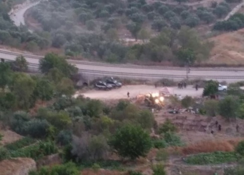 الاحتلال يجرّف 15 دونما ويقتلع 60 شجرة في بتير