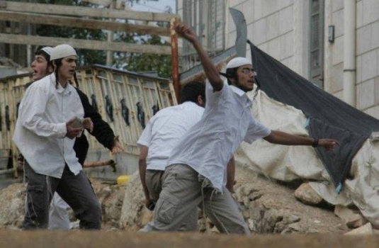 مستوطنون يهاجمون منازل ومركبات المواطنين شرق الخليل